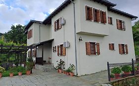 Olga Studios